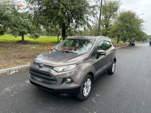 Xe Ford EcoSport Titanium 1.5L AT 2017